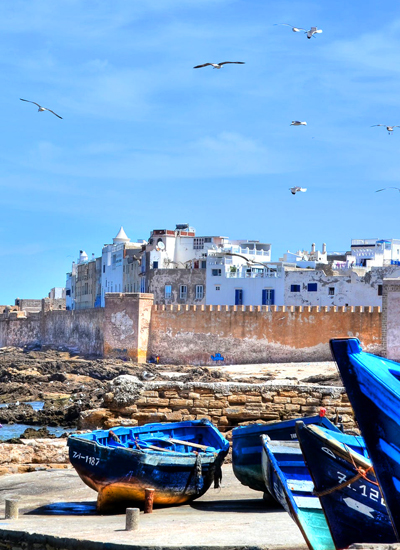 full day trip to essaouira mogador and portuguese fortress from marrakech